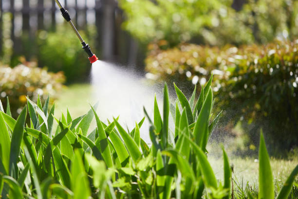 Tamper-Resistant Bait Stations for Rodents in Rancho Mirage