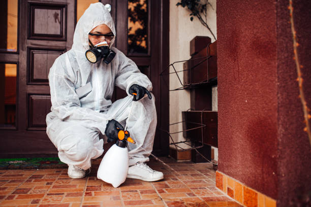 Attic and Crawl Space Rodent Treatment in Rancho Mirage