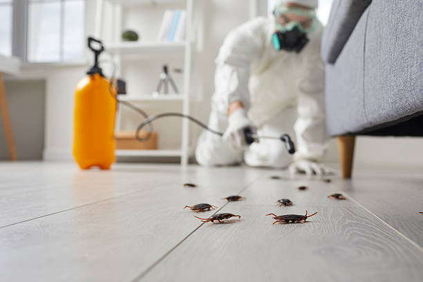 Commercial Rodent Management in Rancho Mirage